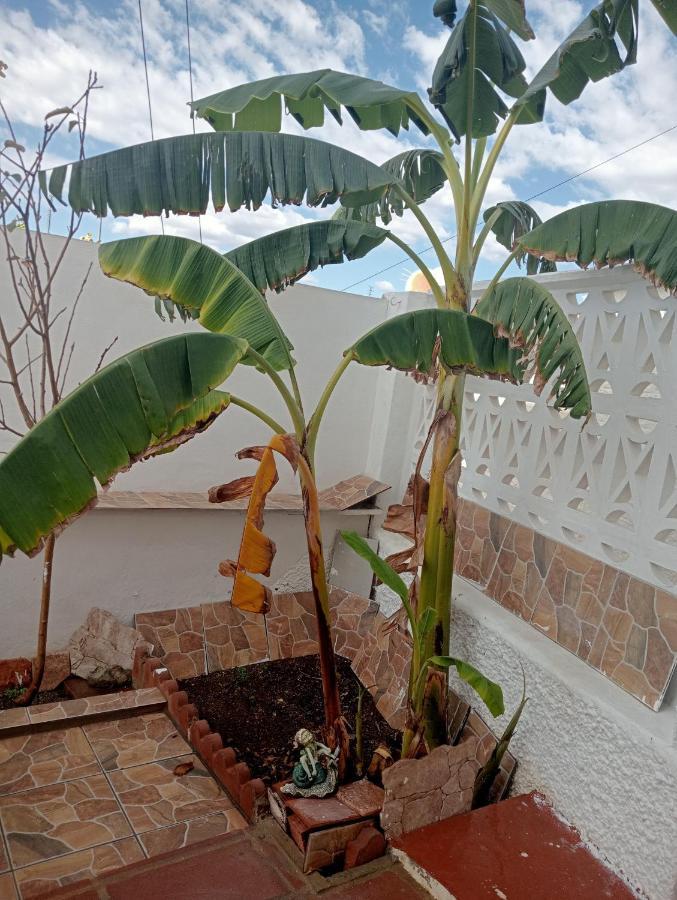 Apartamento Paraiso Del Sol Benajarafe Exterior photo